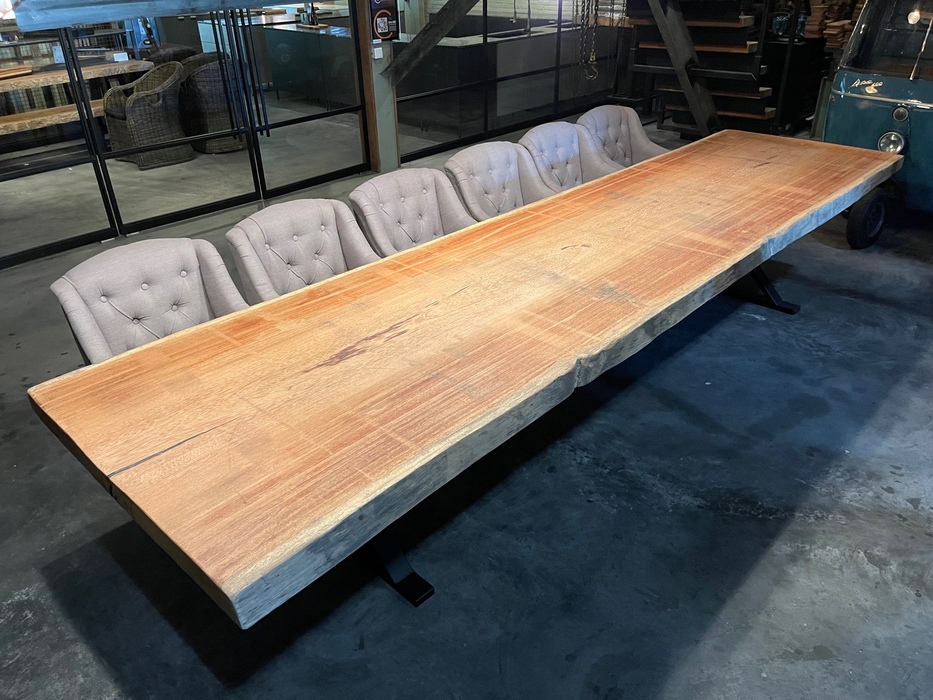 Boomstamtafel 31