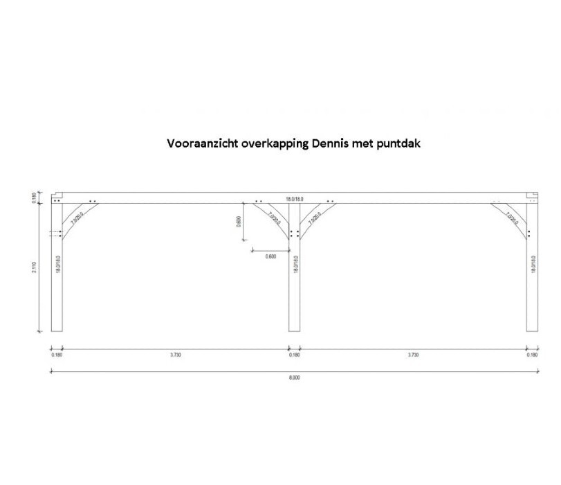 Vooraanzicht overkapping dennis met puntdak