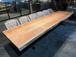 Boomstamtafel 31