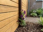 Detail van teak lamellen van 7 cm bij een azobé paal met clematis