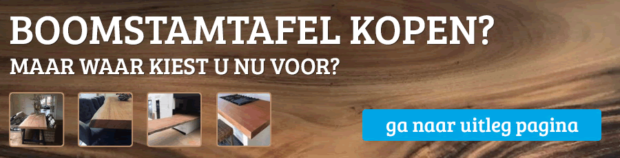 Boomstamtafel kopen uitleg